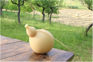 Caciocavallo